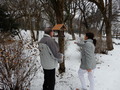 Gondoskodás a park madarairól – JSZTIO