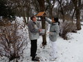 Gondoskodás a park madarairól – JSZTIO