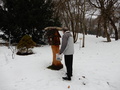 Gondoskodás a park madarairól – JSZTIO