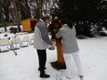 Gondoskodás a park madarairól – JSZTIO