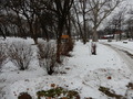 Gondoskodás a park madarairól – JSZTIO