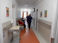 Színek költöztek az Otthon falai közé, megnyílt állandó képkiállításunk – JSZTIO