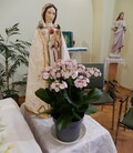 Mária-énekek a Coelestis Regina Kórus előadásában – JSZTIO
